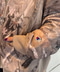 thumbail6