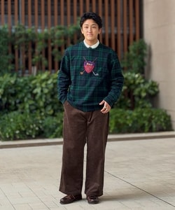 styling_image