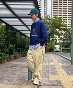 styling_image