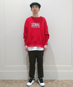 styling_image