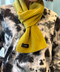 thumbail9