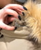 thumbail8