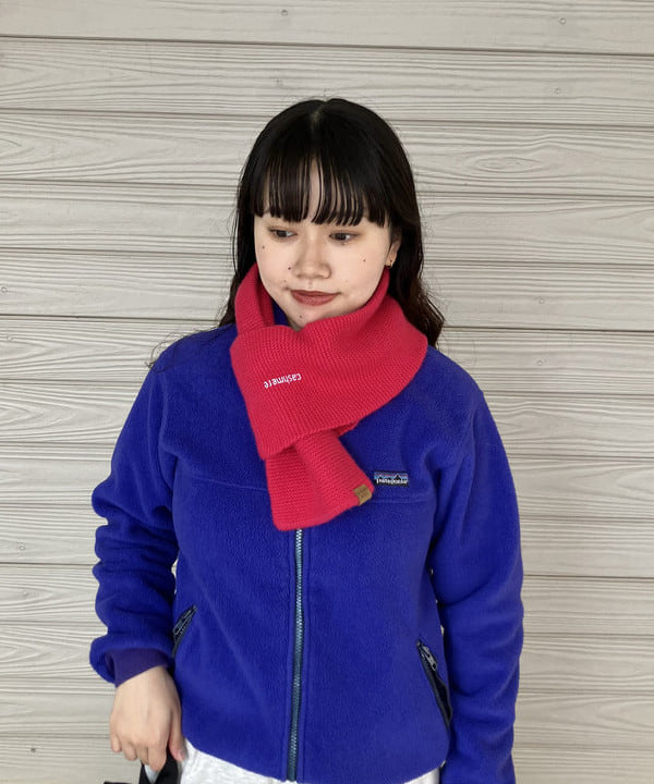 チナツさんの「BEAMS WOMEN｜【別注】GREGORY / VINTAGE NICE DAY CHECK」を使ったコーディネート