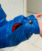 thumbail5