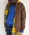 thumbail6