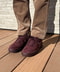 thumbail6