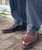 thumbail5