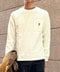 thumbail4