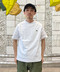 thumbail5