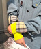 thumbail7