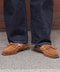 thumbail7