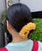 thumbail10