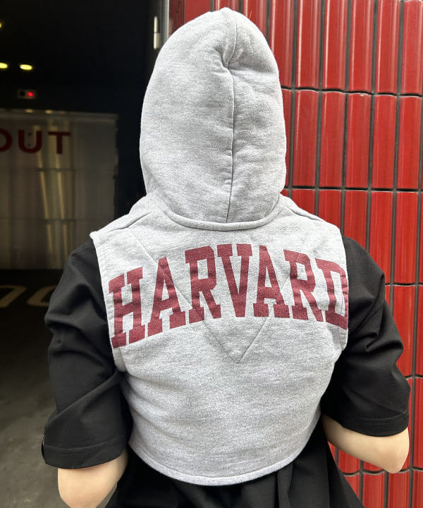 image6