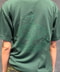 thumbail8