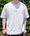 thumbail6