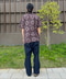 thumbail3