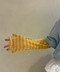 thumbail8