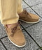 thumbail5