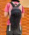 thumbail5