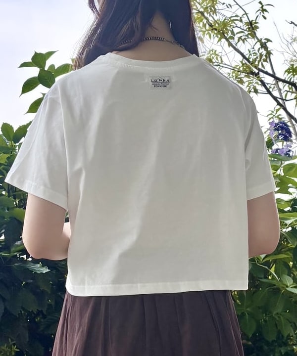 image7