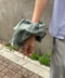 thumbail7