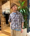 thumbail4
