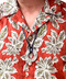 thumbail7