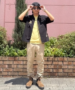 styling_image