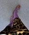thumbail8