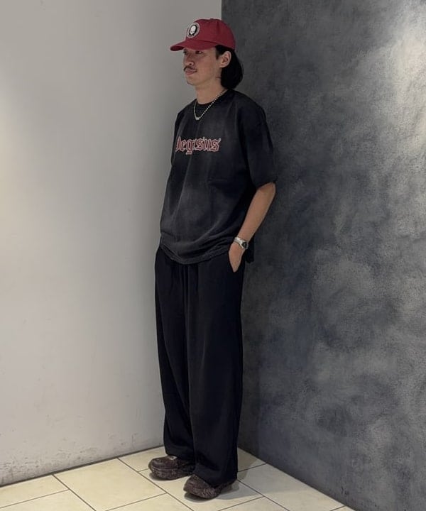 植木 竜也さんの「BEAMS WOMEN｜スーベニア Tシャツ【ワイドフィット】」を使ったコーディネート