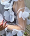 thumbail8