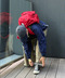 thumbail8