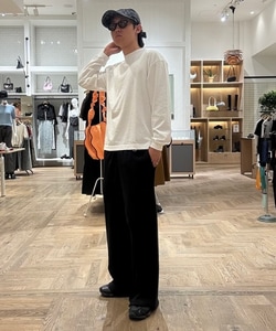 styling_image