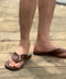 thumbail5