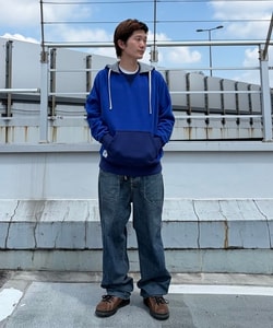 styling_image