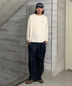 styling_image
