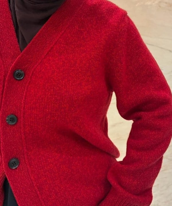 塚越 有紀さんの「BEAMS WOMEN｜【別注】SLOANE &times; Demi-Luxe BEAMS / 5ゲージ ジーロンラム Vネック カーディガン」を使ったコーディネート