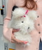 thumbail7