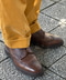 thumbail5