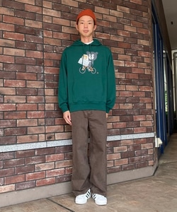 styling_image