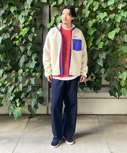styling_image