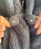 thumbail9