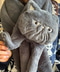 thumbail8