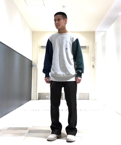 styling_image