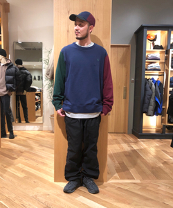 styling_image