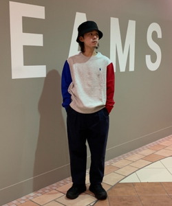 styling_image
