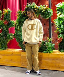 styling_image