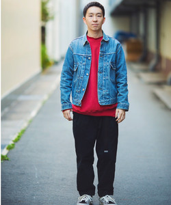 styling_image