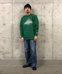 styling_image