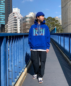 styling_image